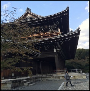 1577421249202378.jpg 12.jpg