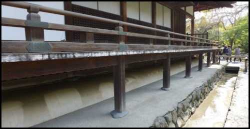 1577421382299501.jpg 17.jpg