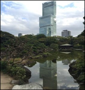 1577421405853664.jpg 18.jpg