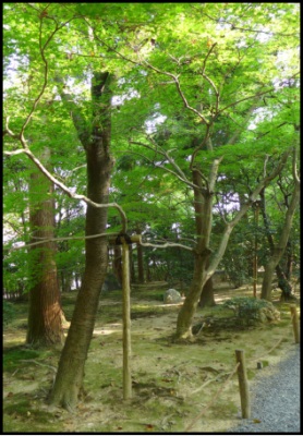 1577421518296790.jpg 22.jpg