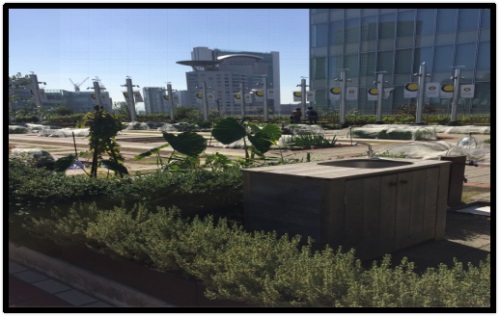 1577421677121921.jpg 27.jpg