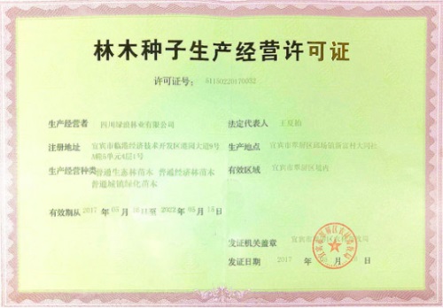 1577435874967354.jpg 11.jpg