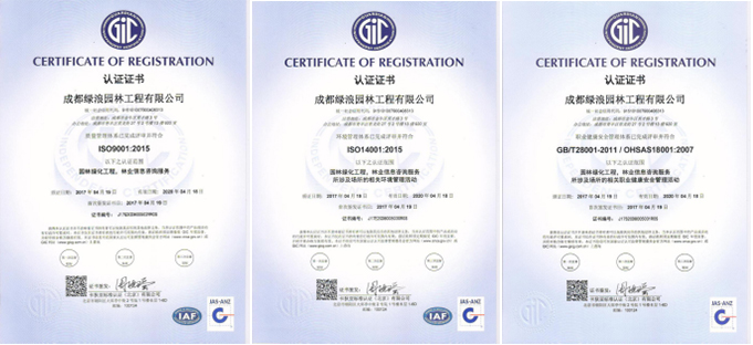 1577439124394515.jpg 三系统拼图.jpg