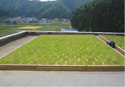 2 ����ά������Ч��ʵ�����������2�ܺ�_��ͼ��.png