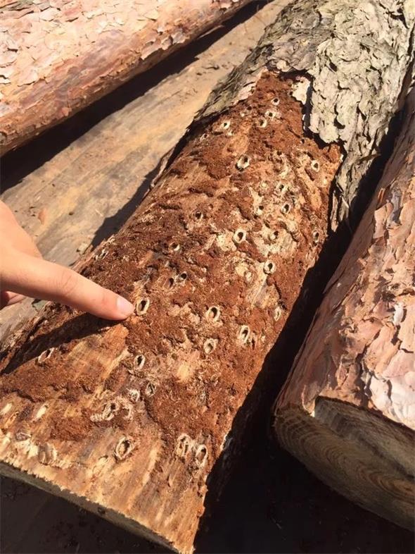 14 �ɺ������ӵ�.jpg